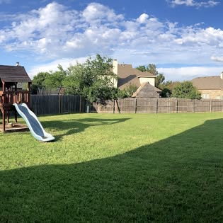 Freshly mowed and edged lawn in Arlington TX